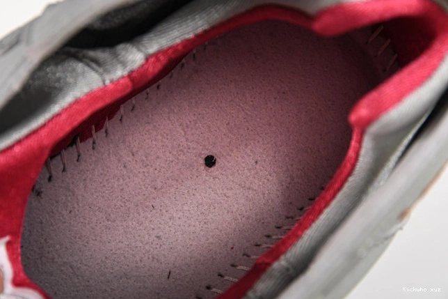 Jordan Reflective Cardinal BV6281-006 Air 7 0814